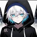 9.1免费版安装