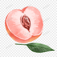 抖抈直播APP应用
