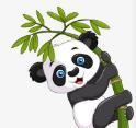 91破解版APP应用